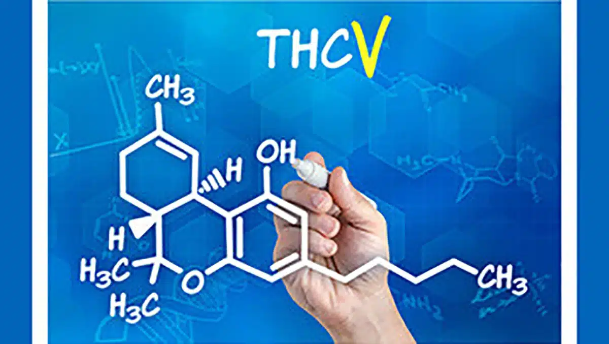 THCV chemical formula