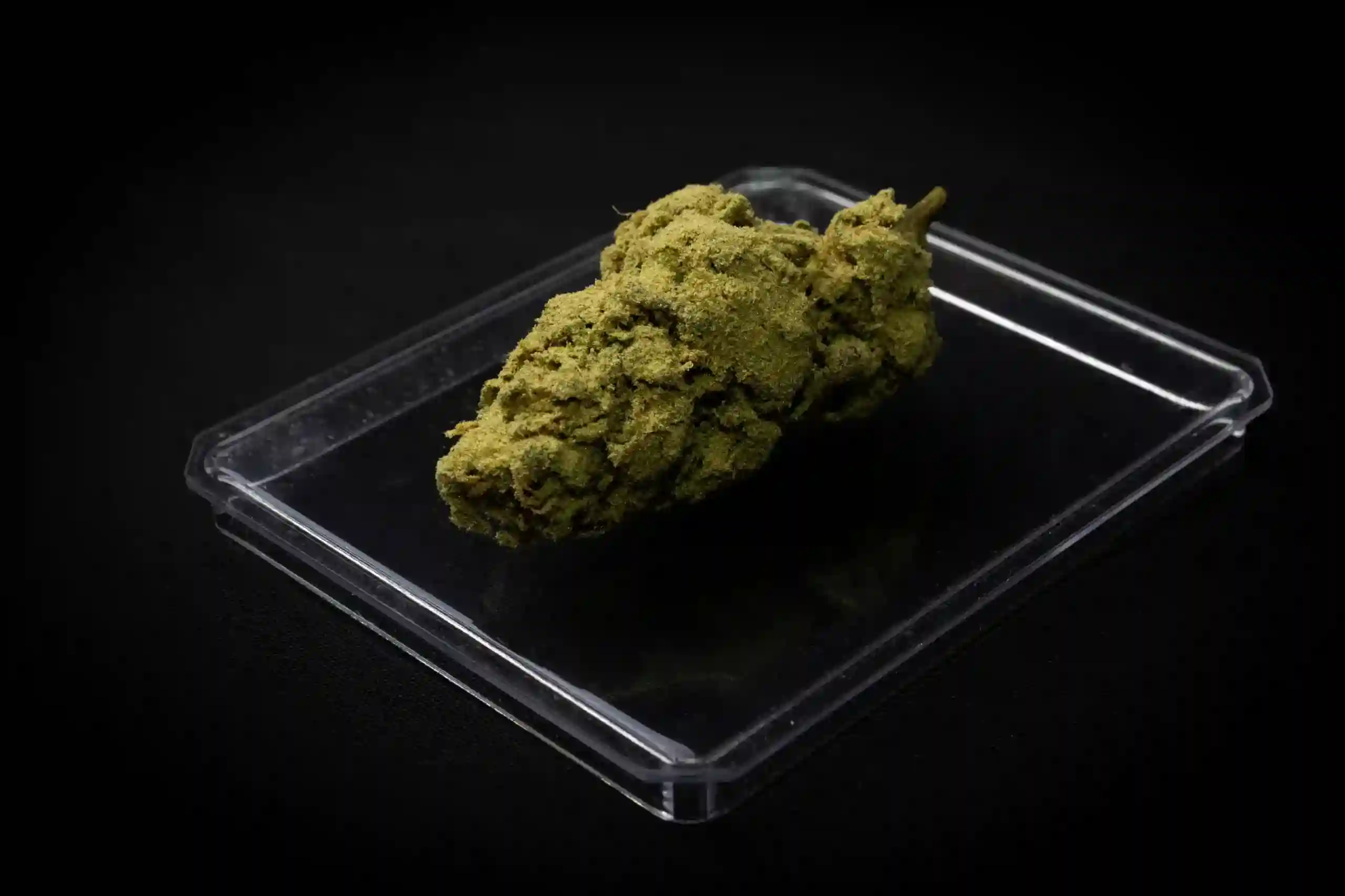 Moon Rocks Strain Cannabis Bud