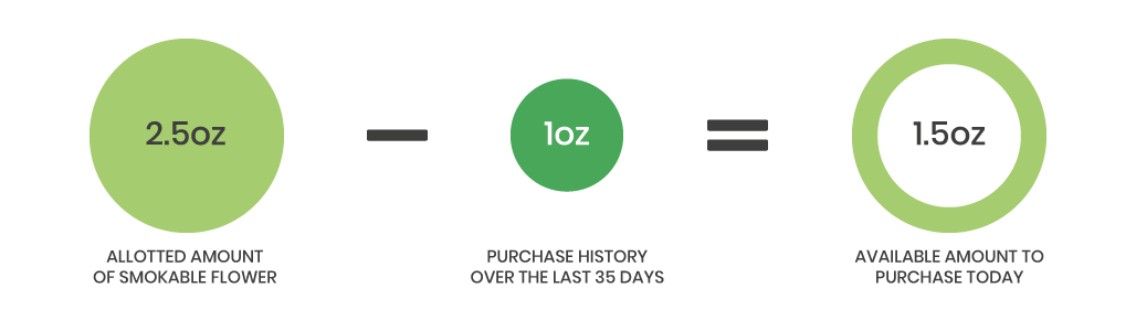 MMj blog infographic