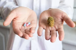 Antibiotics and medical cannabis