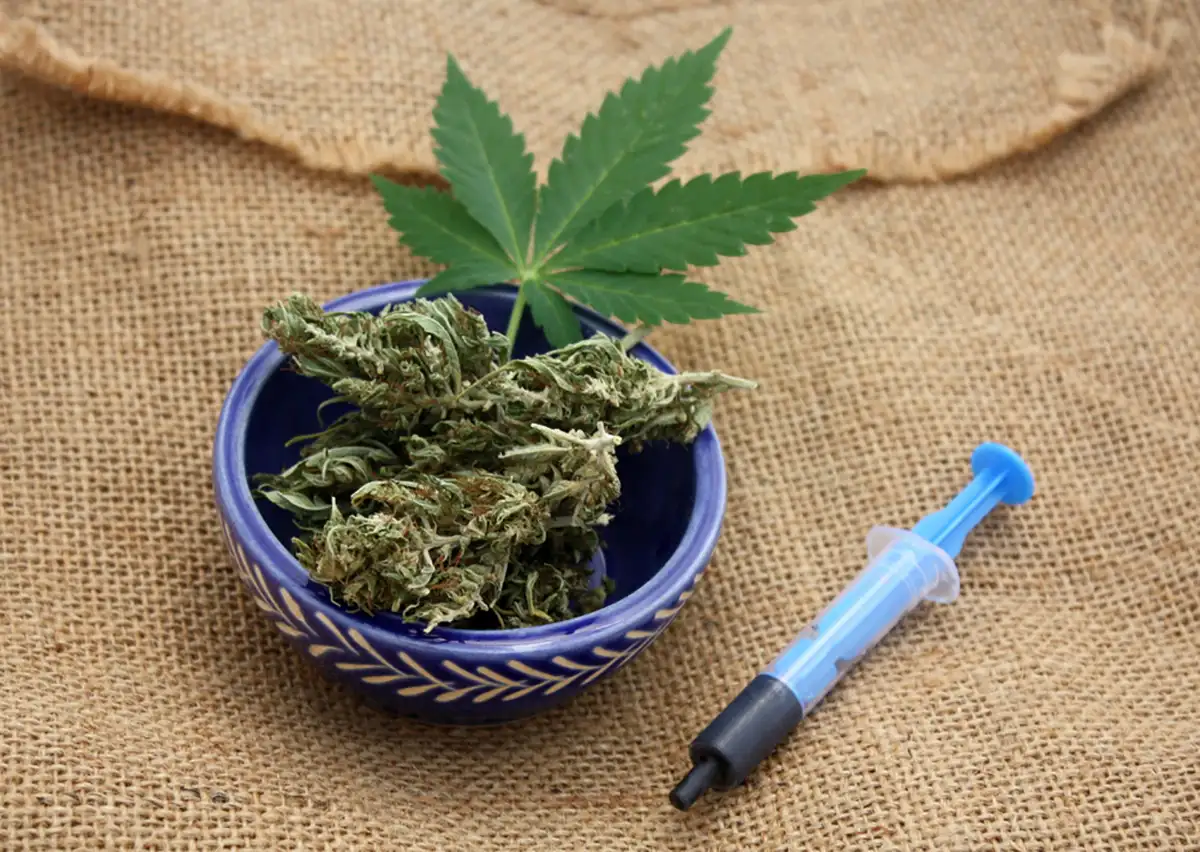 cannabis in a blue china pot