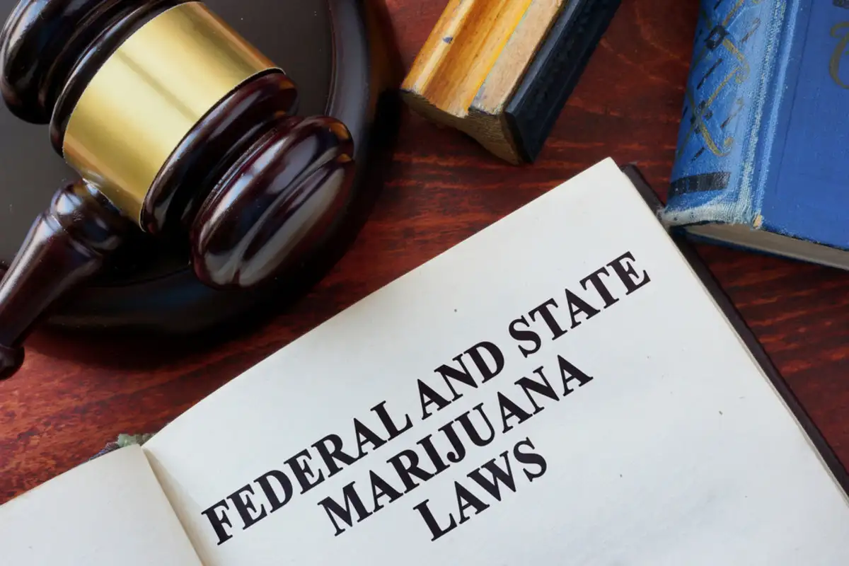 Marijuana Legalization Laws