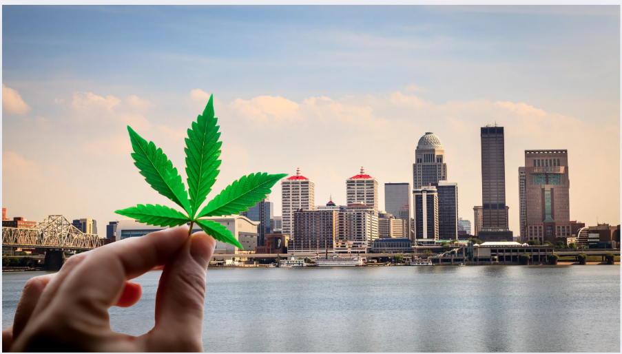 Hand holding cannabis leaf with Louisville city skyline in the background across the river
