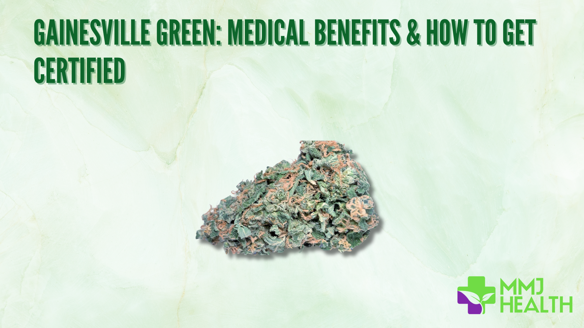 Gainesville Green cannabis bud on a pale green background, with a visual and medical marijuana certification headline.