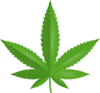 Leaf Icon
