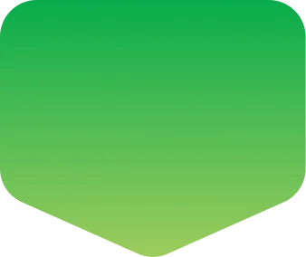 Pricing Top Graphic