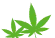 Two Leaf Icon
