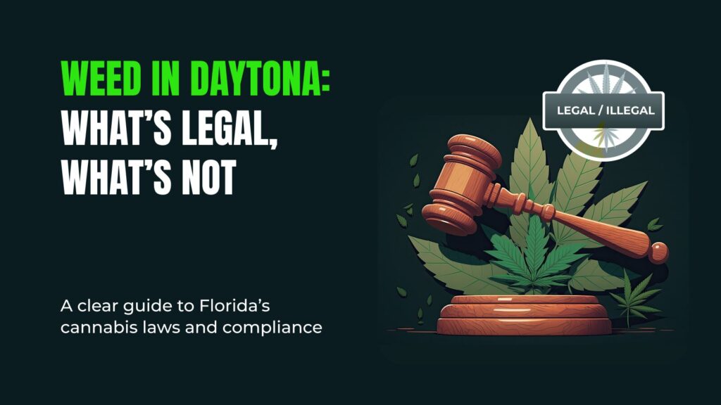 Guide to cannabis laws in Daytona, Florida, with gavel and marijuana leaf illustration.