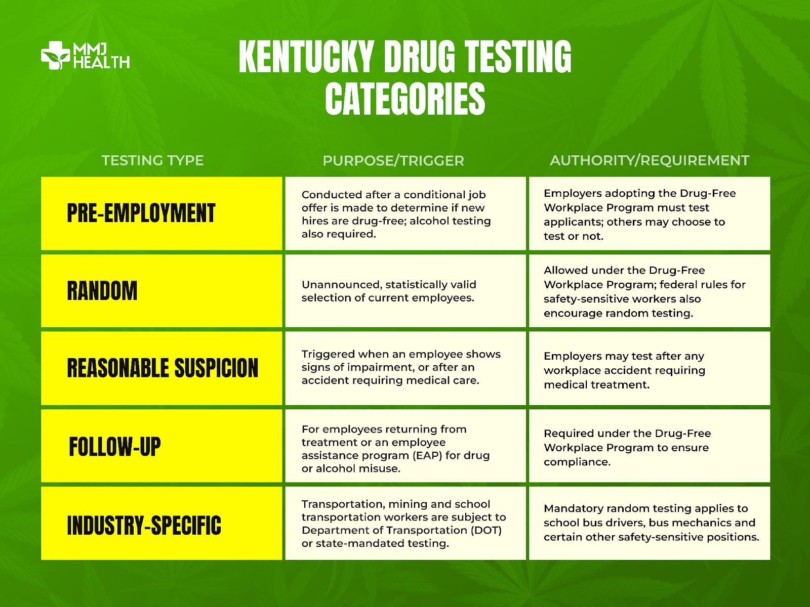 Infographic showing Kentucky drug testing categories, including pre-employment, random, and post-accident tests