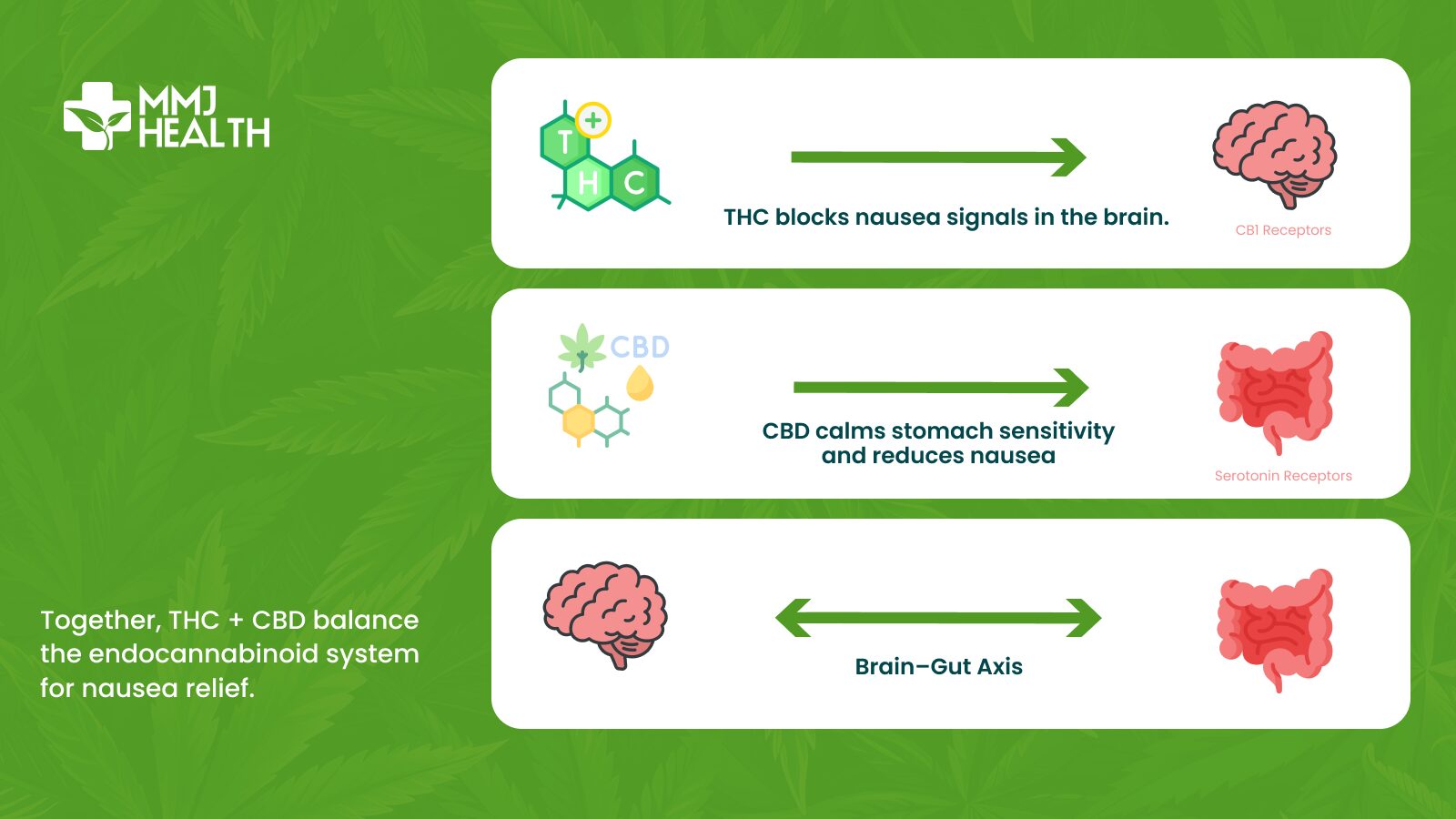 Together, THC + CBD balance the endocannabinoid system for nausea relief.