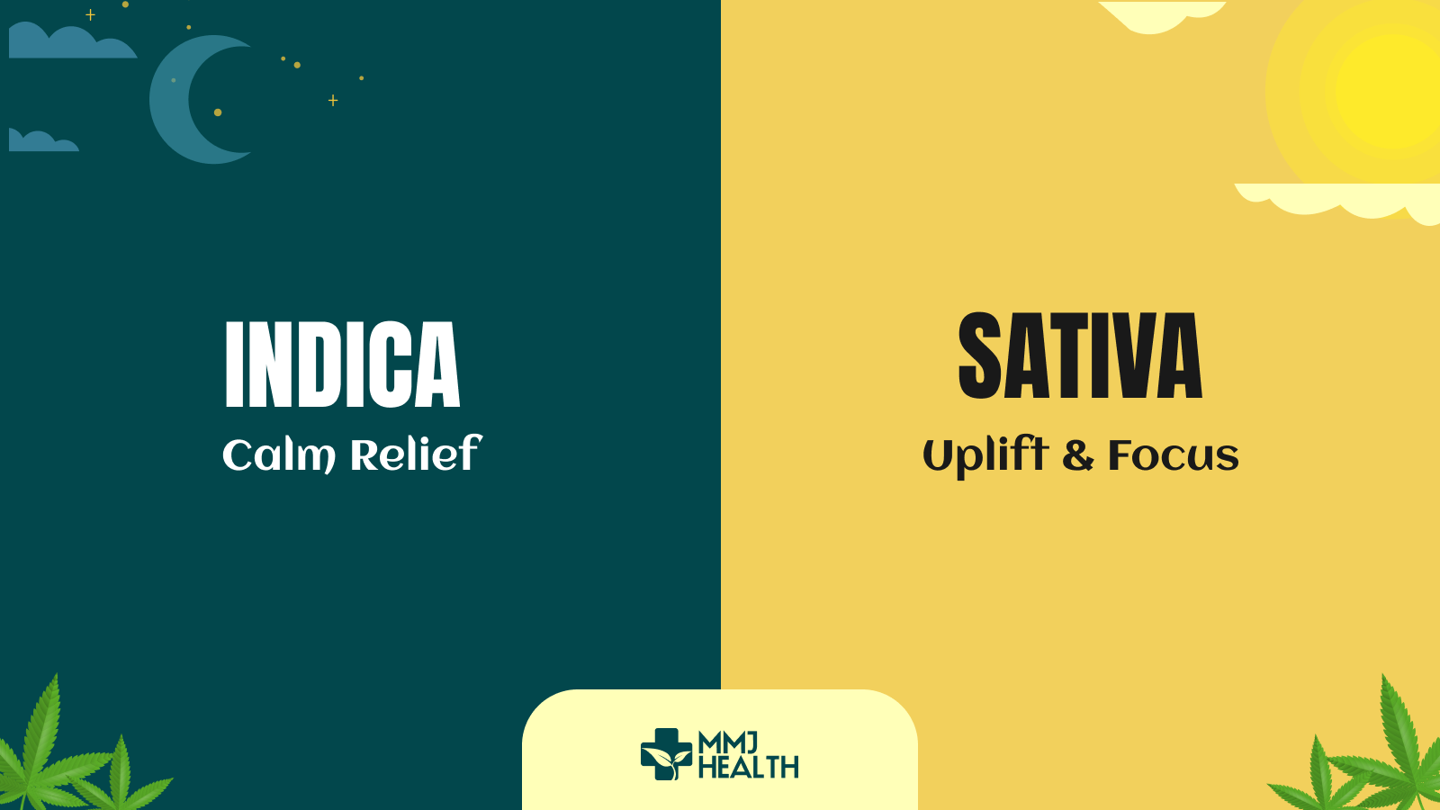 Indica vs Sativa