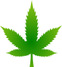 MMJ Icon