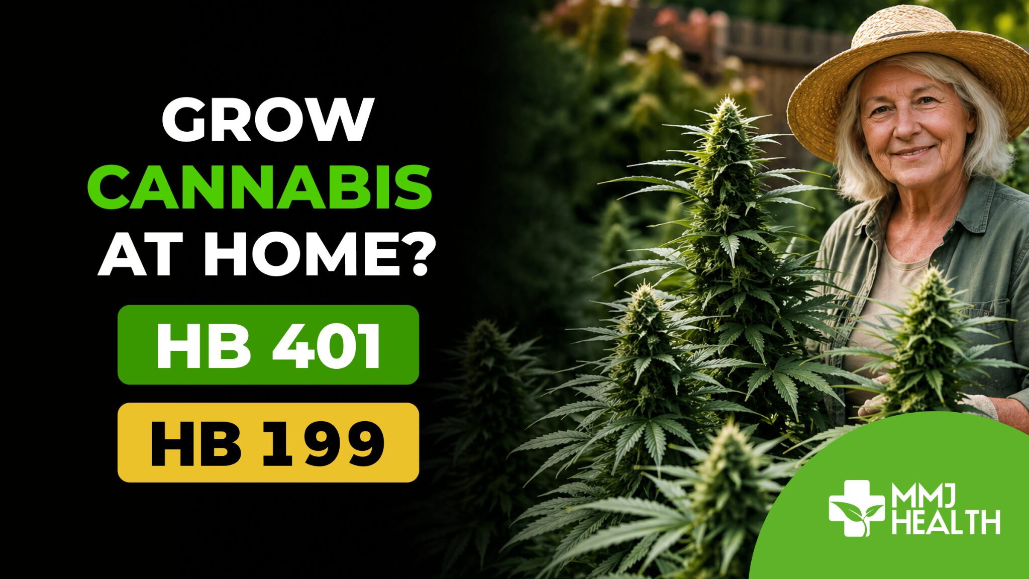 What HB 401 and HB 199 Would Allow